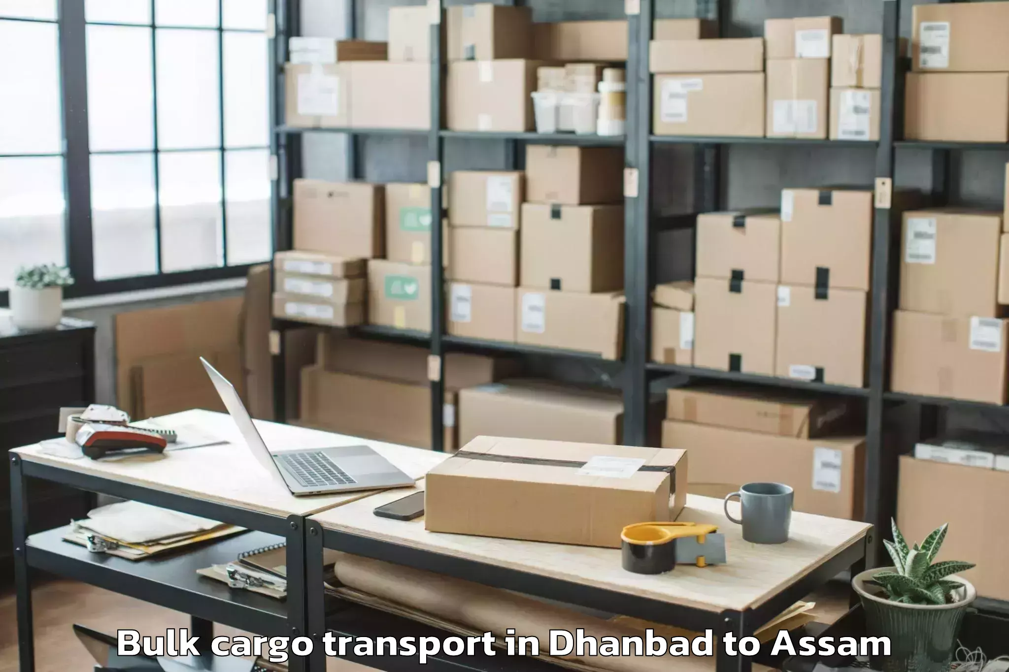 Hassle-Free Dhanbad to Sibsagar Bulk Cargo Transport